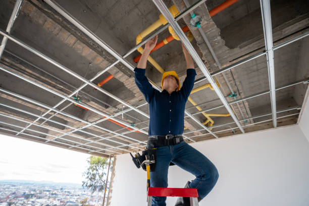 Best 24-Hour Plumber Near Me  in Millville, DE